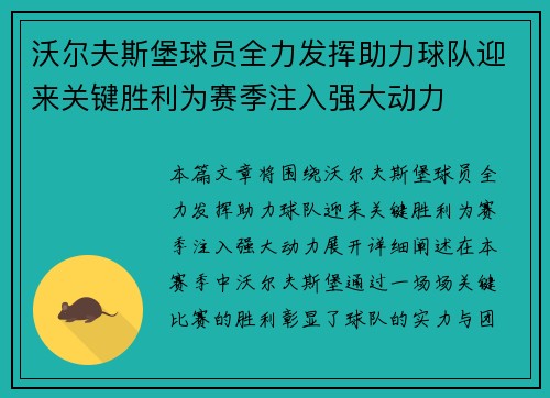 沃尔夫斯堡球员全力发挥助力球队迎来关键胜利为赛季注入强大动力