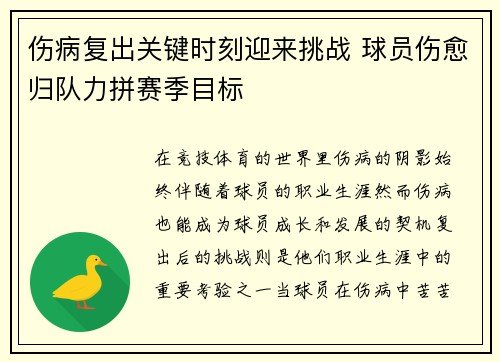 伤病复出关键时刻迎来挑战 球员伤愈归队力拼赛季目标